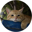Fitan Akbar profile picture
